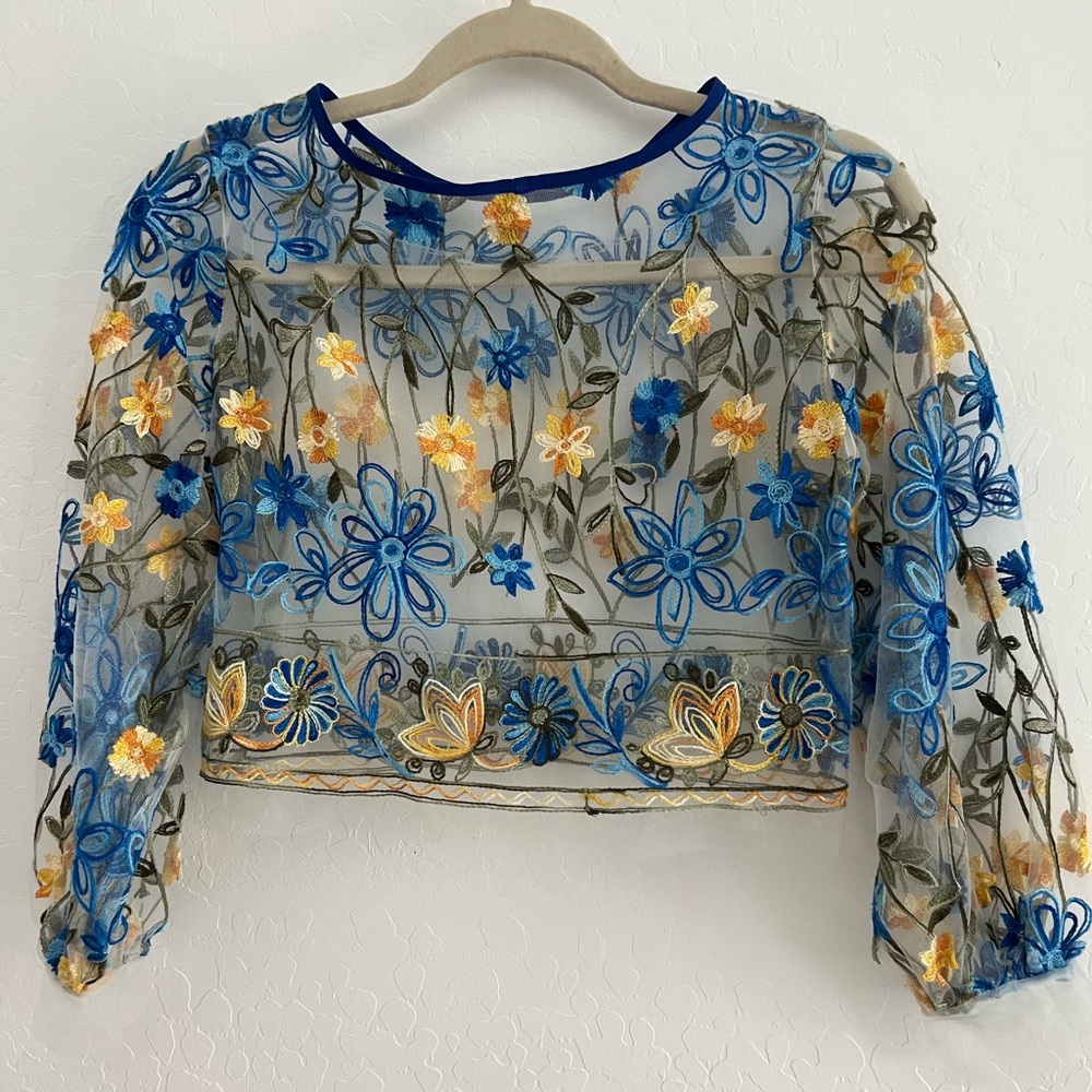 Embroidered Floral Sheer Crop Top - Picture 4 of 5